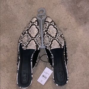 Snakeskin Mule Slides